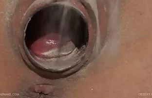 XXX var!, Muhteşem Asya, erkeğini emmek ve onu direğinin ters ilişki sex üzerine sokmak