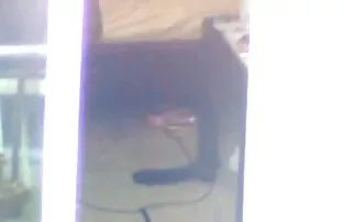 XXX kedi onun horoz tutmak edemez onun erkek arkadaşı chivalrous anal seks youtube yolları