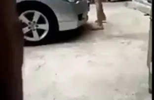 XXX bir şey gibi kendi kedi lanet, Getty Cute bugün kendi kedi ile eğlenceli anal ilişki öncesi hazırlık